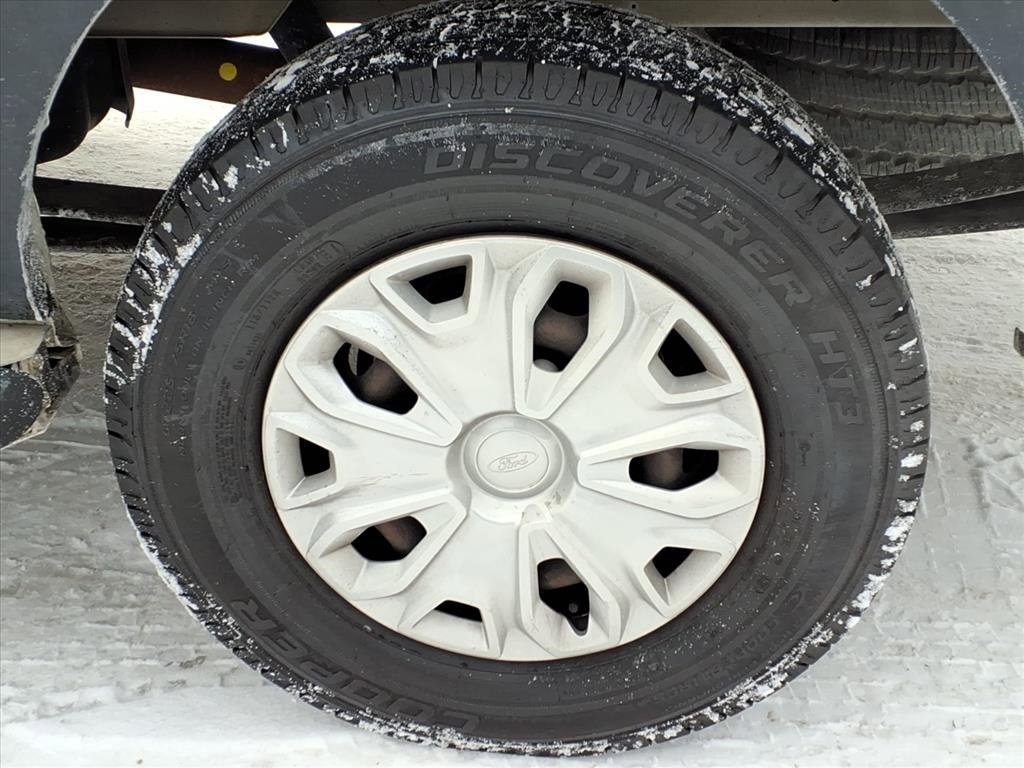 Used 2019 Ford Transit 250 130 Low Roof w/ Exterior Upgrade Package image 7