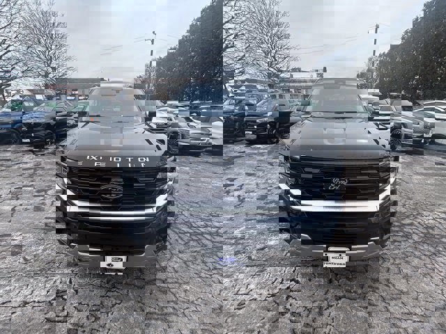 Used 2025 Ford Expedition Max Platinum image 2