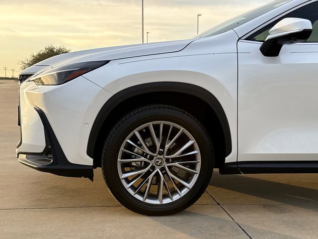 Used 2022 Lexus NX 350h AWD w/ Vision Package image 5