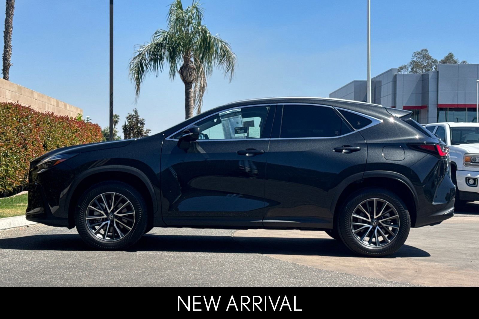 Certified 2025 Lexus NX 350h AWD w/ Cold Area Package image 7