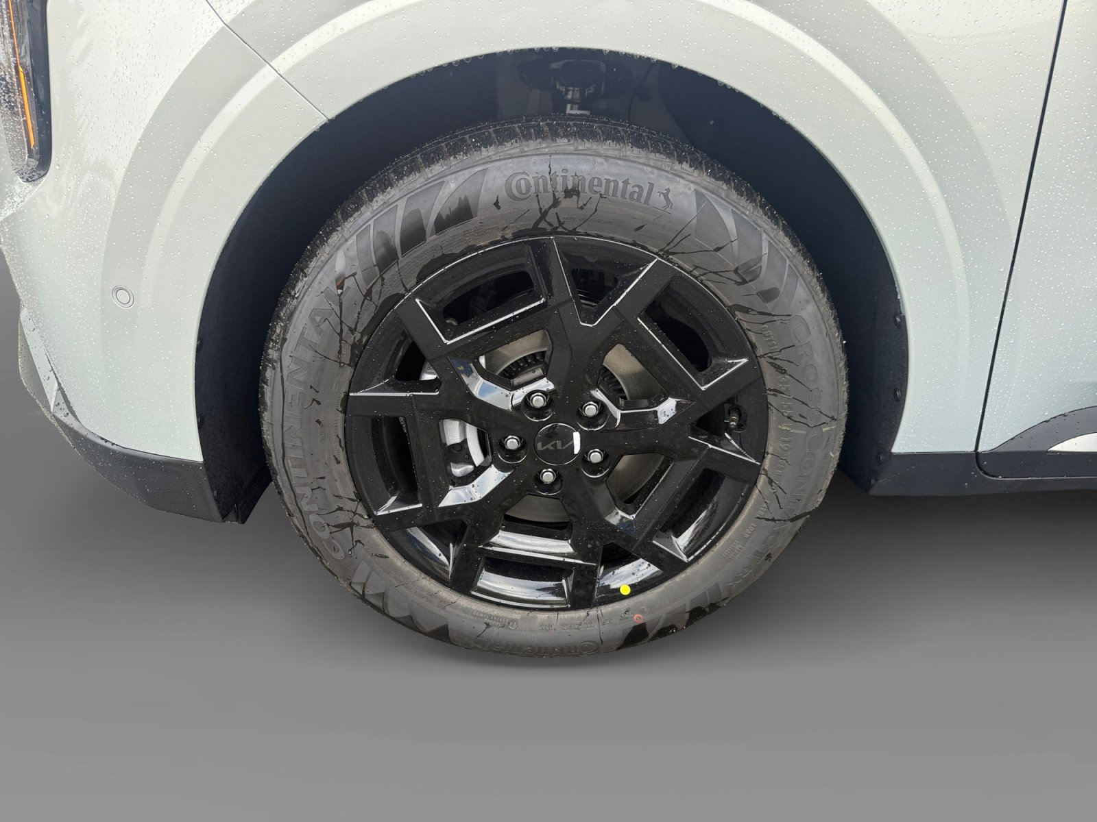 New 2026 Kia Carnival SX w/ SX Dark Edition Package image 9