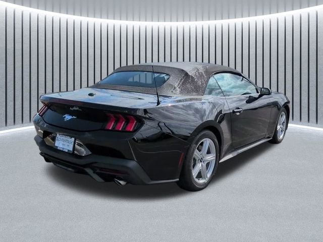 Used 2026 Ford Mustang Premium image 3