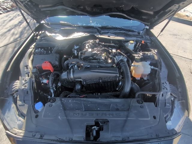 Used 2024 Ford Mustang Premium image 32