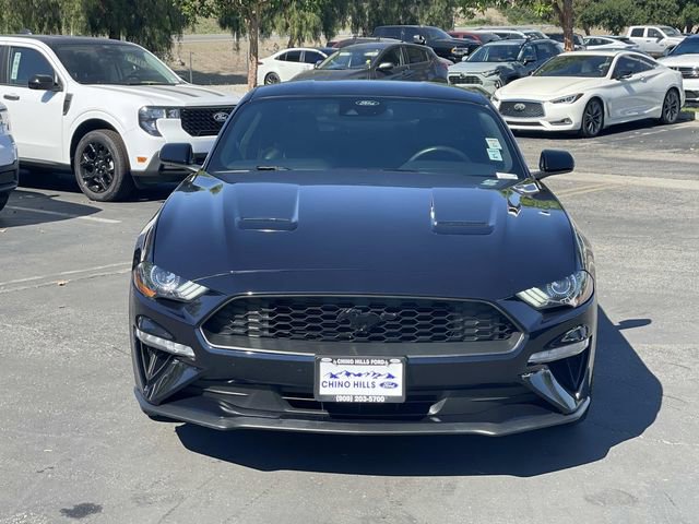 Used 2021 Ford Mustang EcoBoost w/ Equipment Group 101A image 2