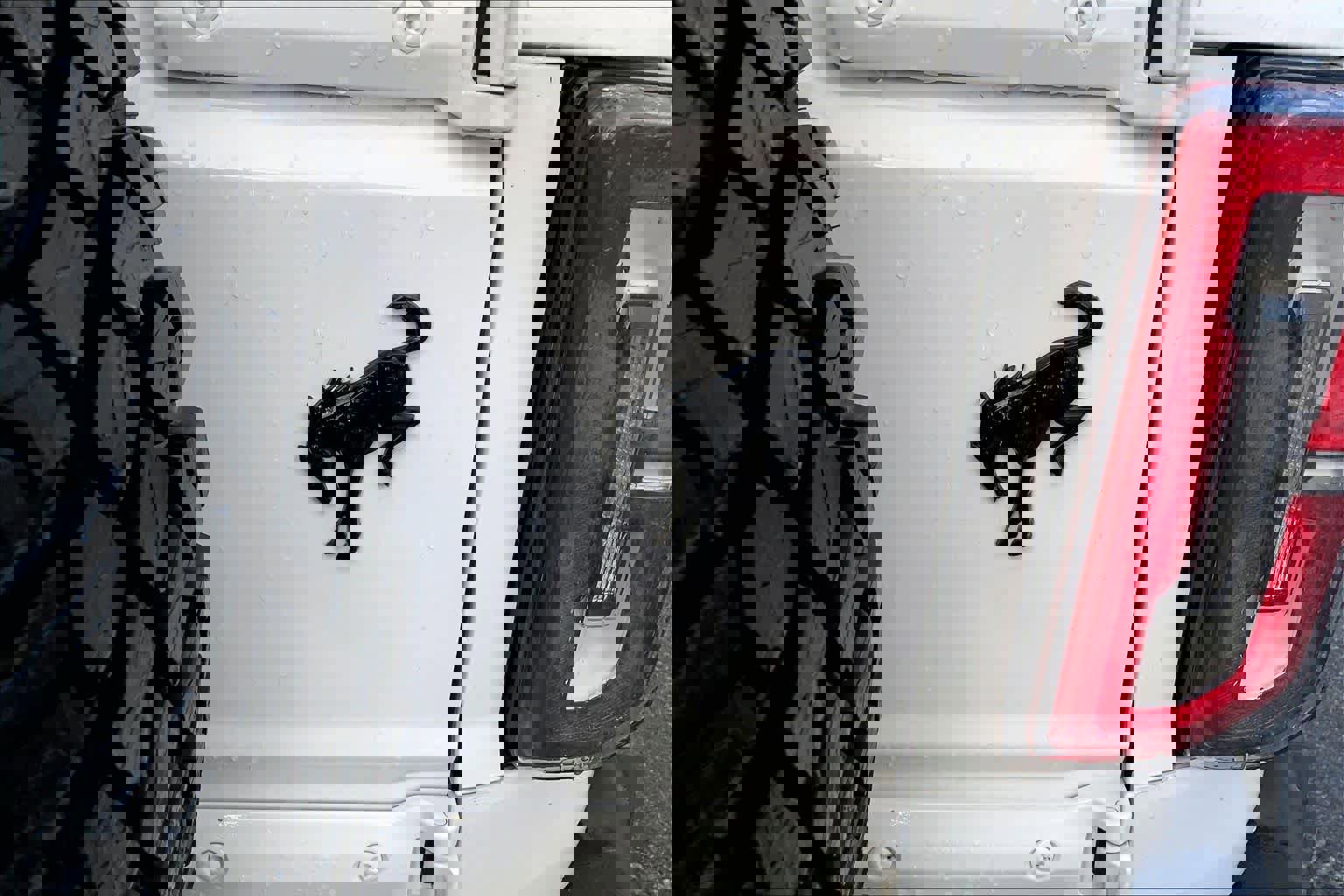 Used 2023 Ford Bronco Wildtrak image 9