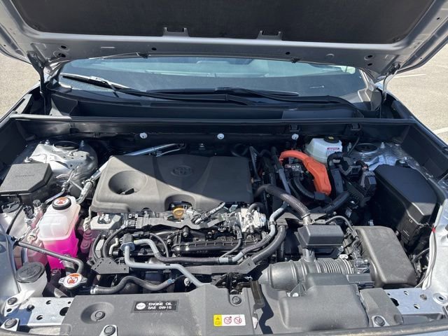 Certified 2025 Toyota RAV4 XLE AWD/4WD image 9