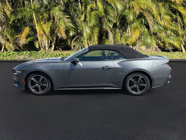 Used 2024 Ford Mustang Premium RWD image 8