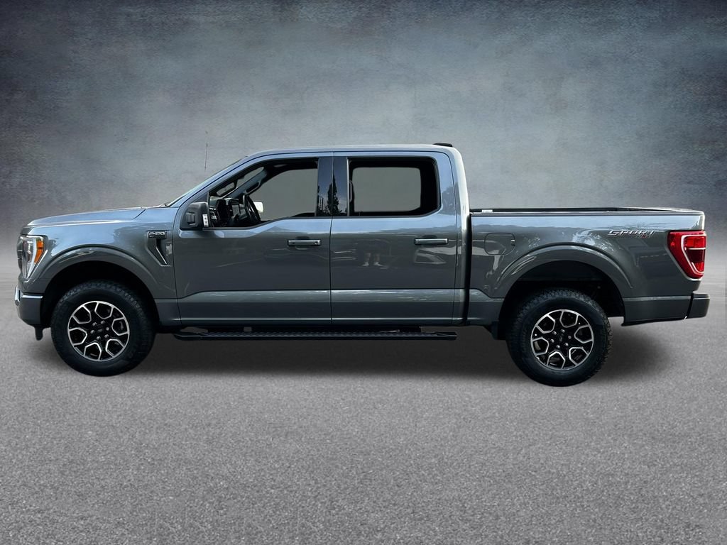Used 2023 Ford F150 XLT w/ Equipment Group 302A High AWD/4WD image 4
