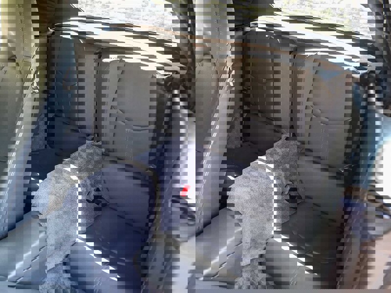 Used 2005 Porsche 911 Carrera image 28