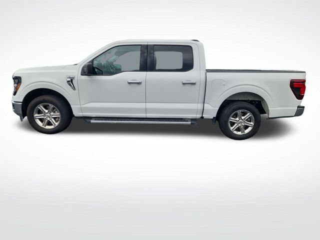 Used 2025 Ford F150 XLT w/ Equipment Group 301A Standard RWD image 2