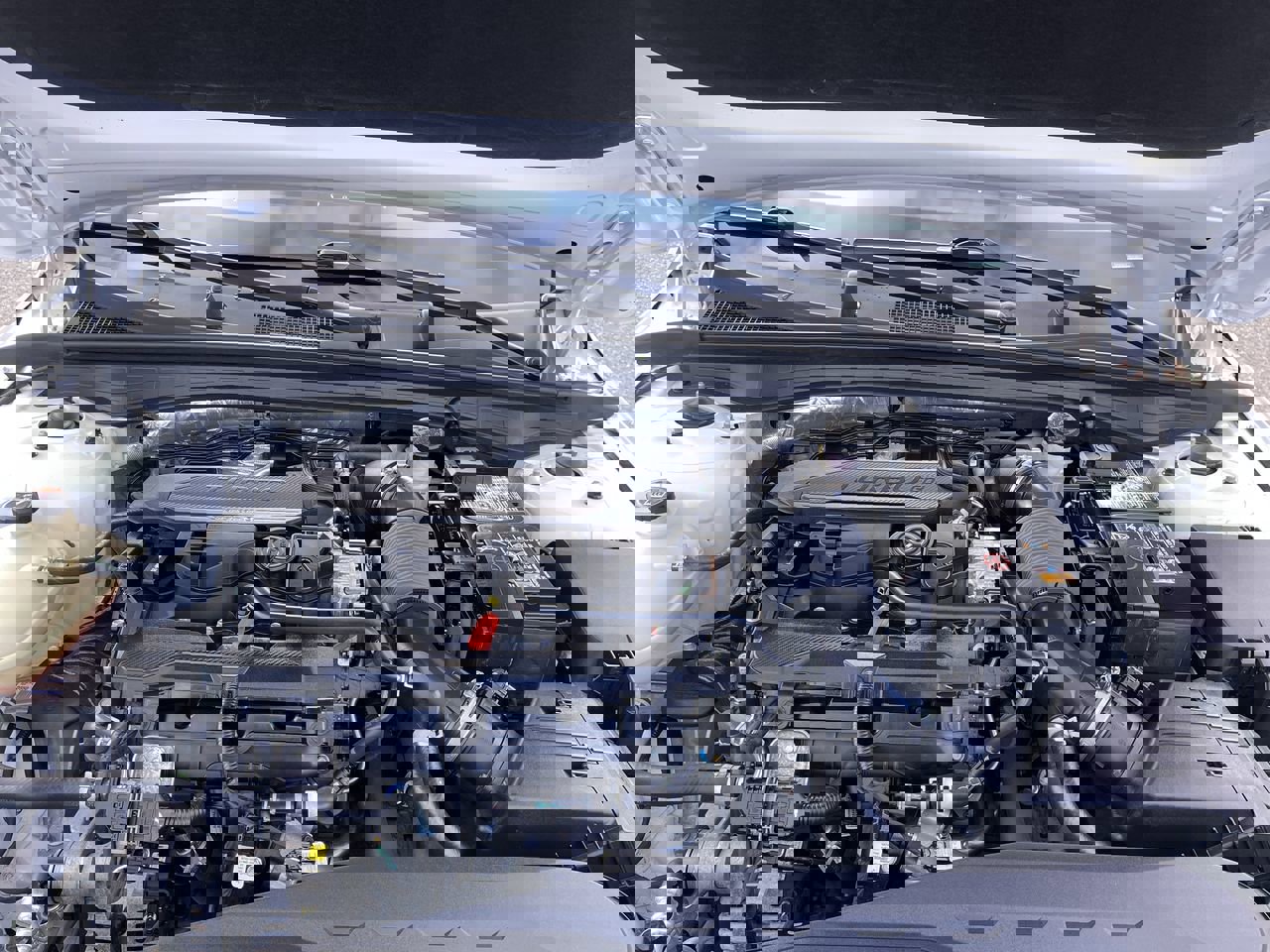 Used 2024 Kia K5 EX w/ EX Premium Package image 15