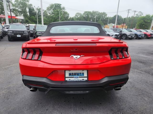 Used 2024 Ford Mustang Premium image 6