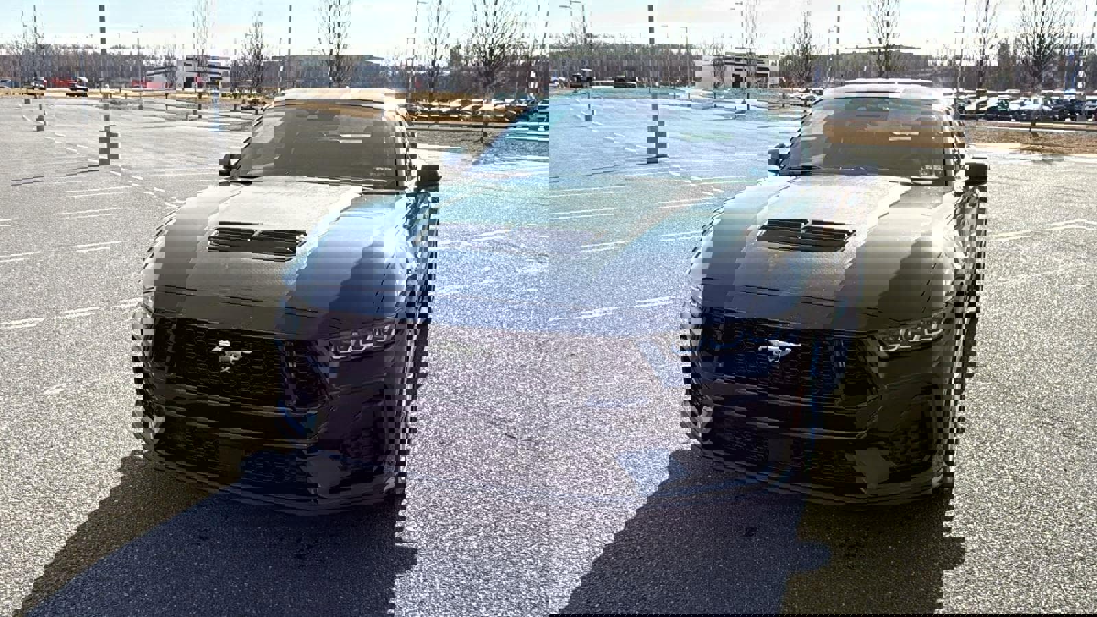 Used 2024 Ford Mustang GT Premium image 16