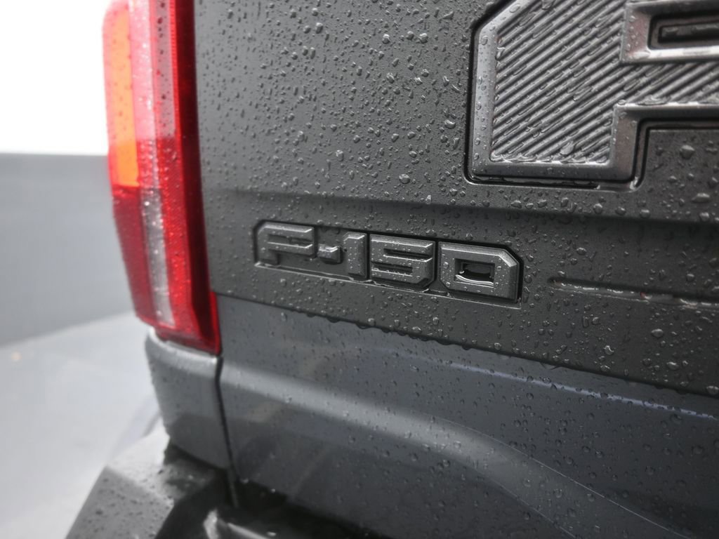 New 2025 Ford F150 Raptor image 14