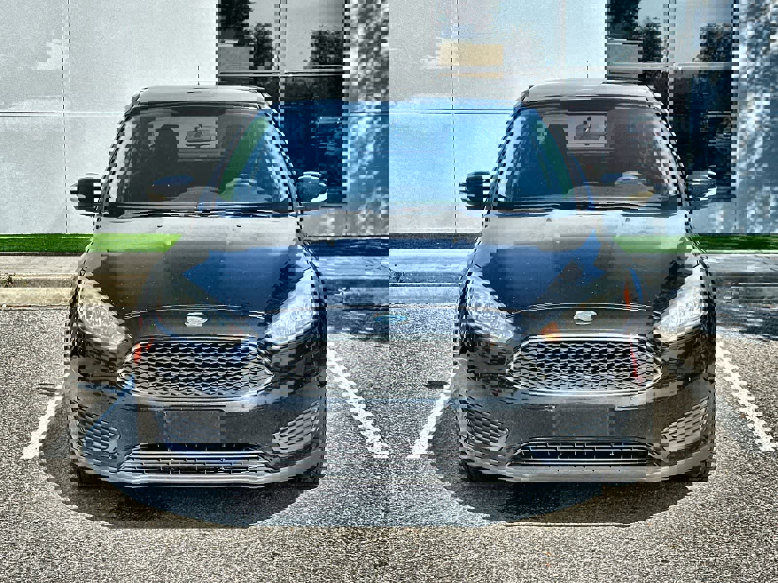 Used 2016 Ford Focus SE w/ SE Power Seat Package image 6