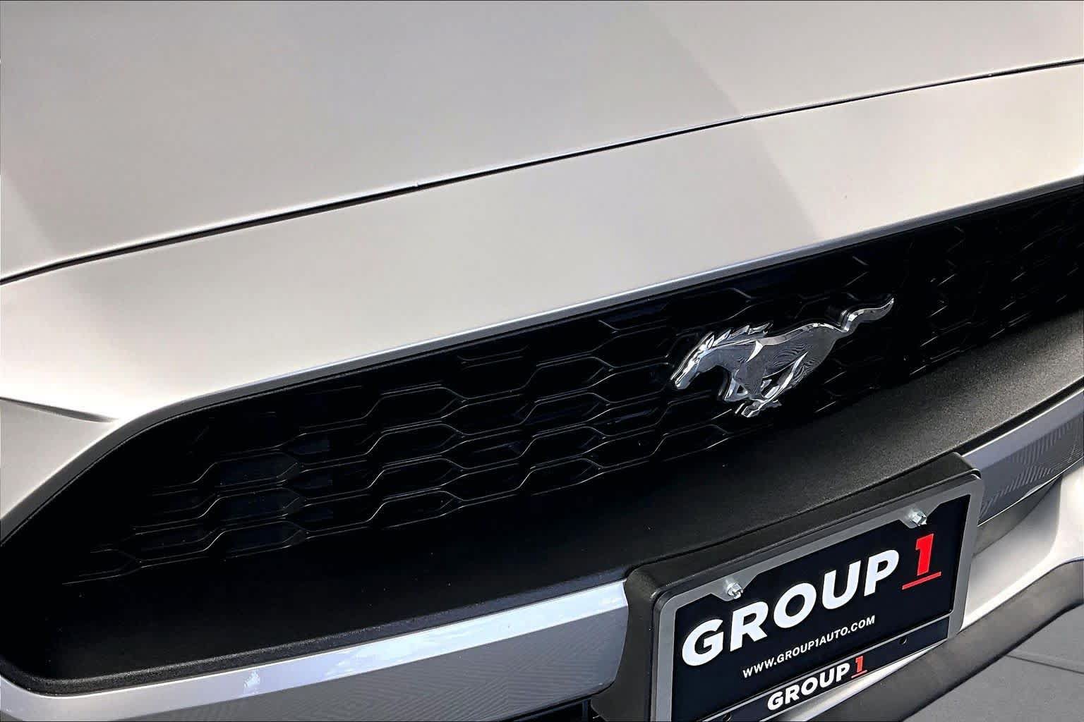 Used 2019 Ford Mustang Premium RWD image 28
