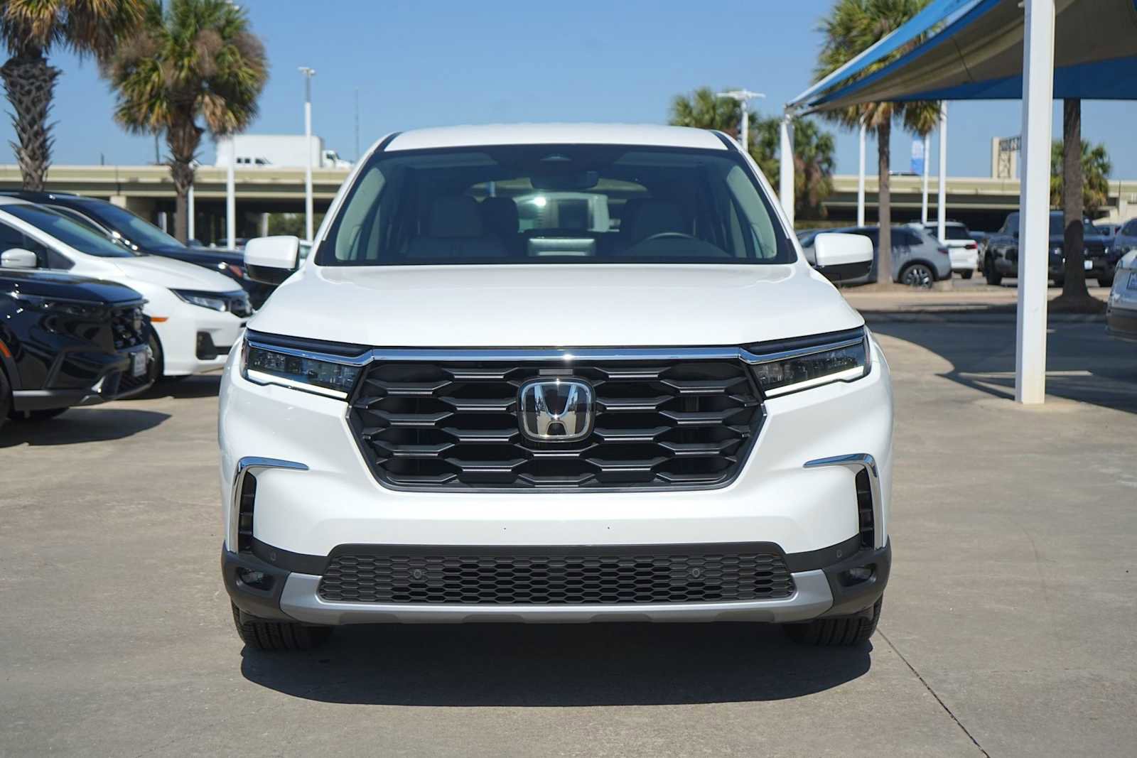 Certified 2025 Honda Pilot EX-L image 6