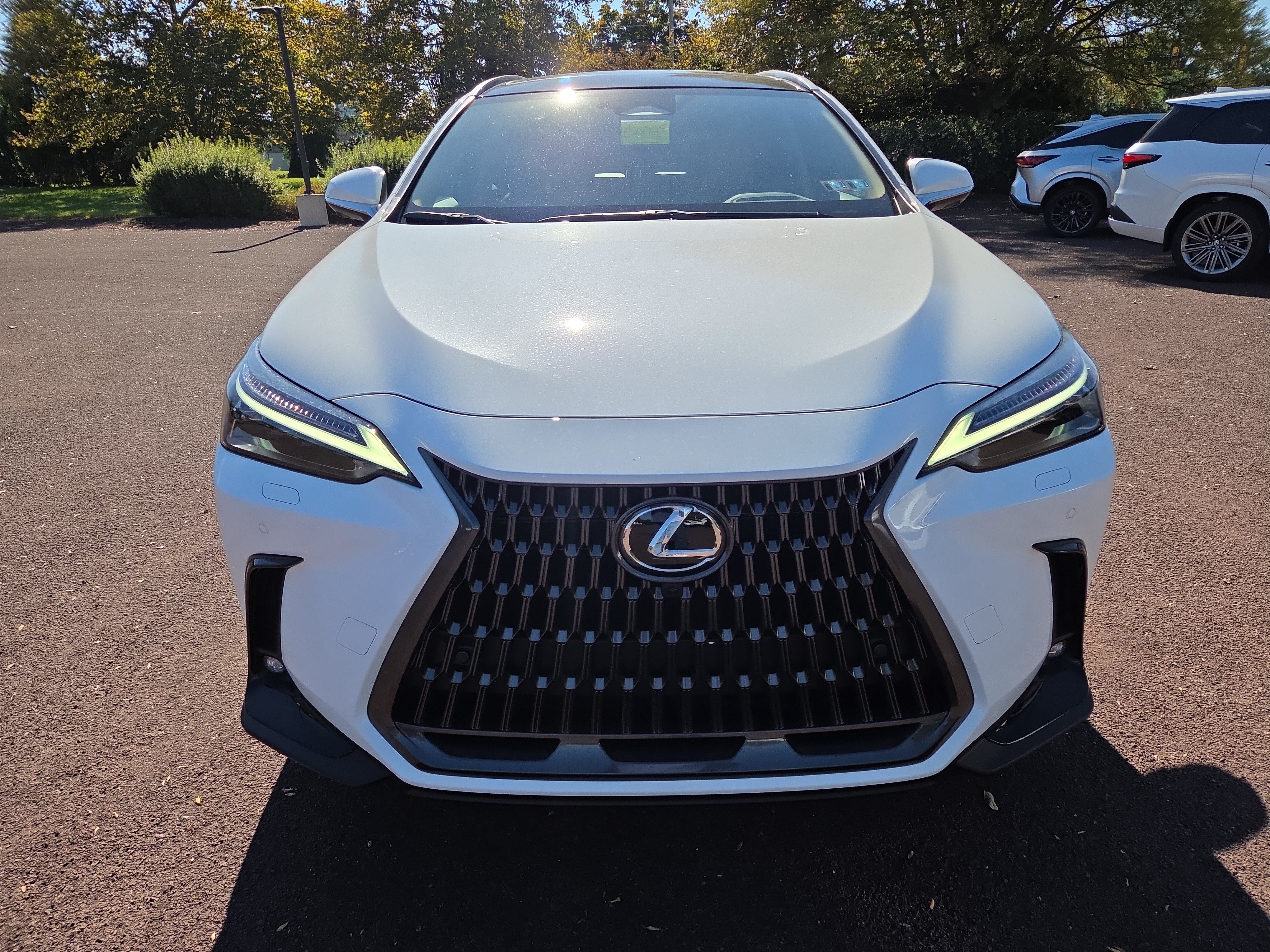 New 2026 Lexus NX 450h+ AWD w/ Accessory Package (2T) image 6
