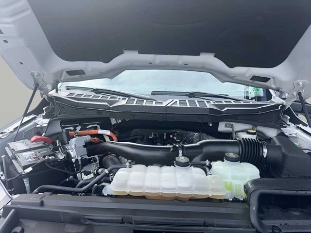 Used 2024 Ford F150 XLT w/ Mobile Office Package image 16