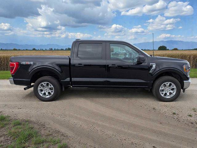 Certified 2023 Ford F150 XLT image 7