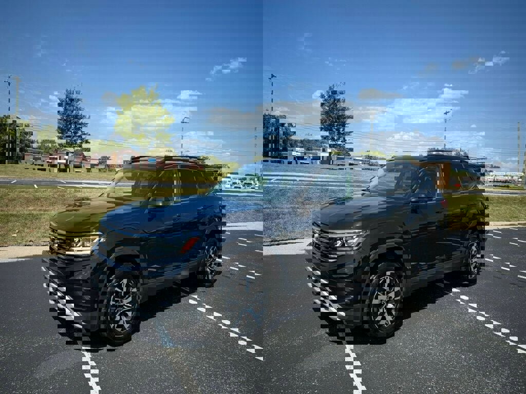 View Video
