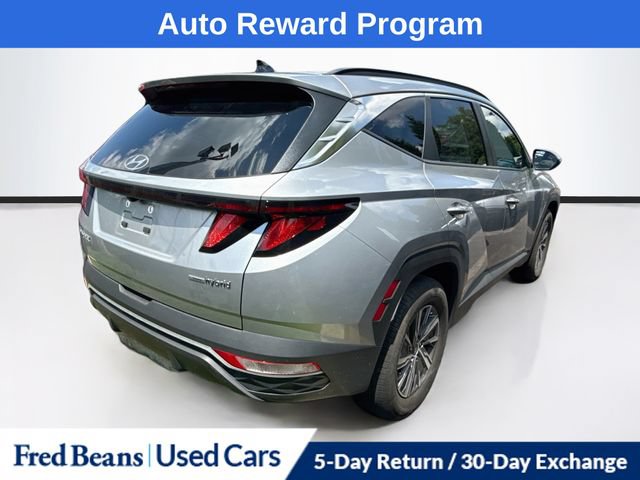Used 2024 Hyundai Tucson Blue AWD/4WD image 7