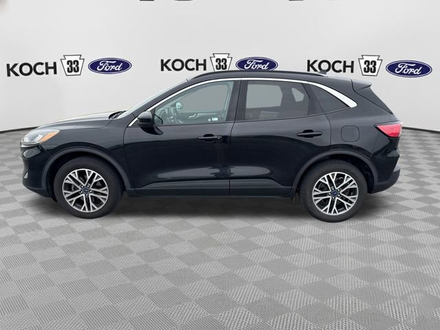Used 2020 Ford Escape SEL AWD/4WD image 4