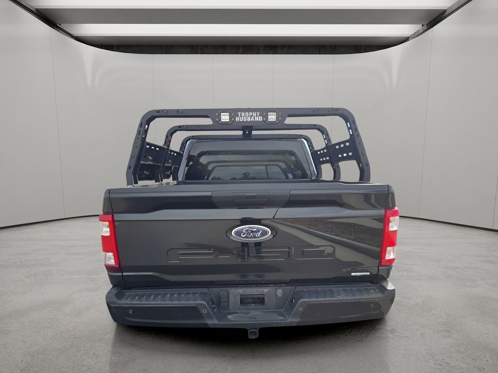 Used 2023 Ford F150 XL w/ STX Appearance Package AWD/4WD image 5