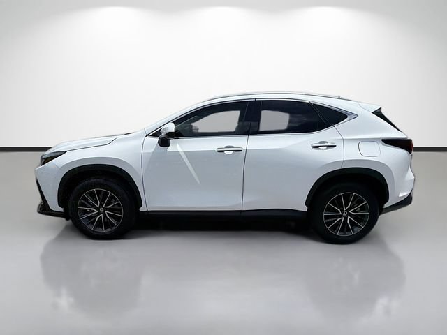 Used 2026 Lexus NX 350 AWD w/ Cold Area Package image 6
