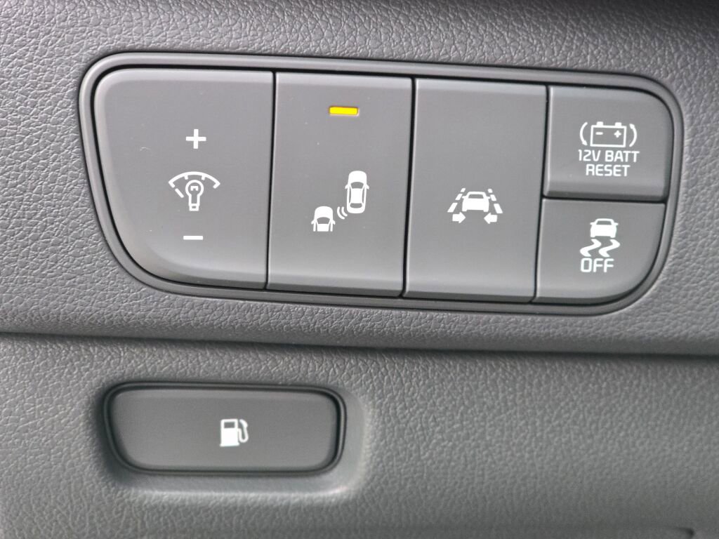 Used 2019 Kia Niro EX image 19