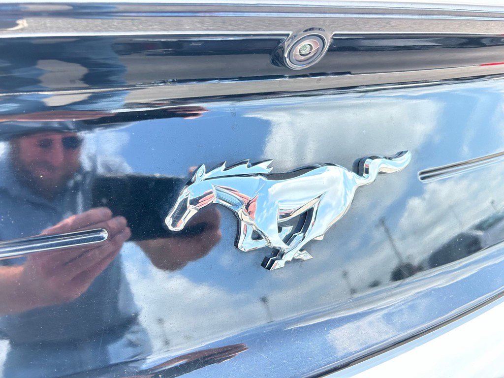 Used 2023 Ford Mustang Premium image 7