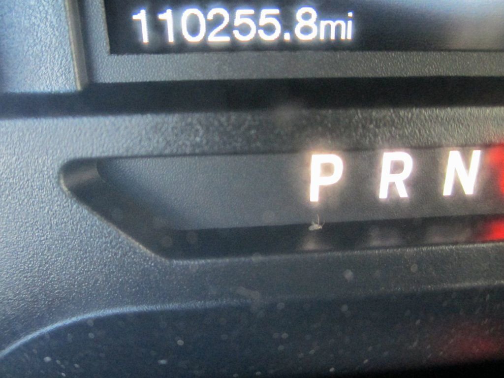 Used 2019 Ford F150 XLT w/ Equipment Group 302A Luxury image 28