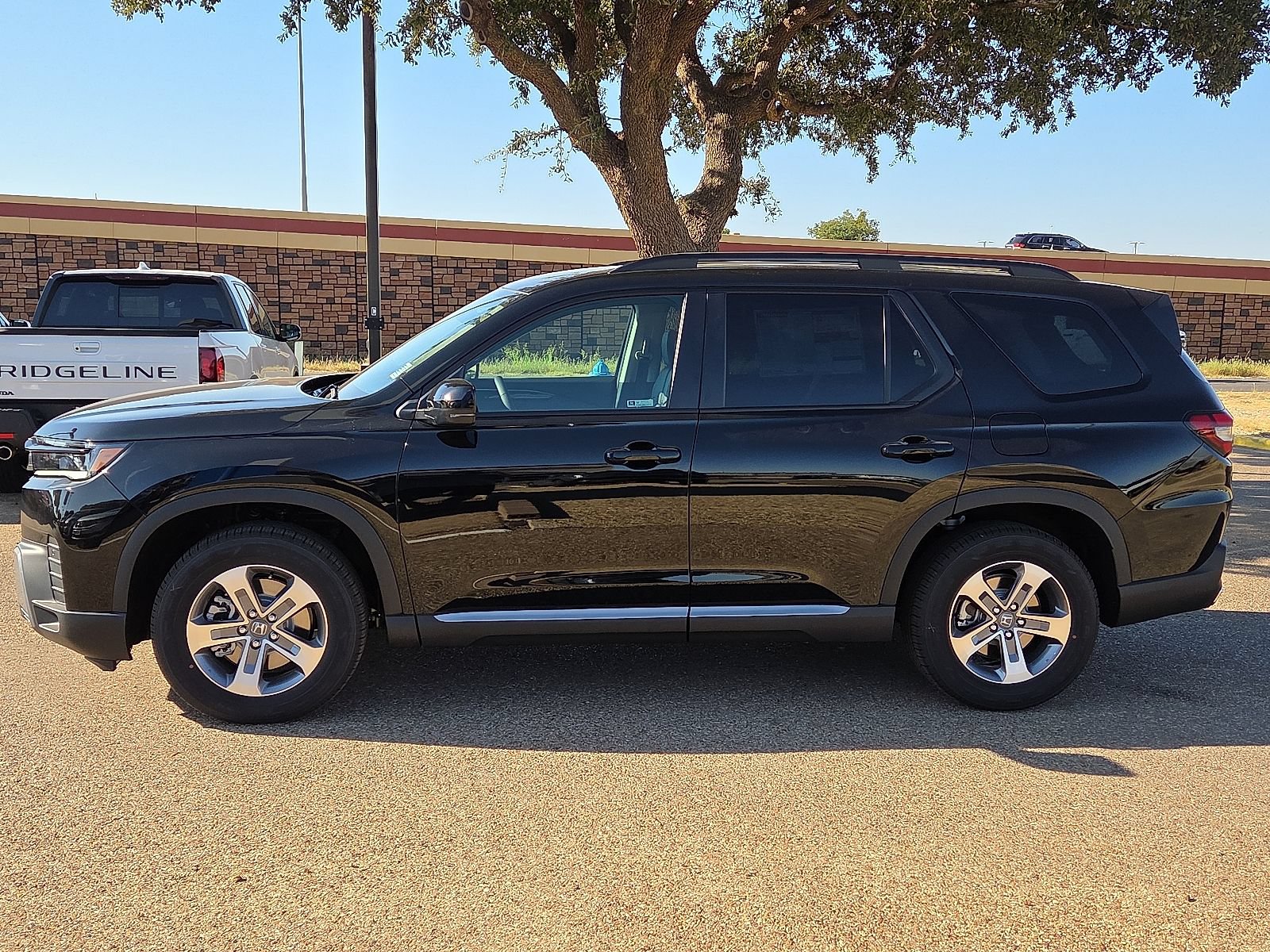 New 2026 Honda Pilot EX-L image 2
