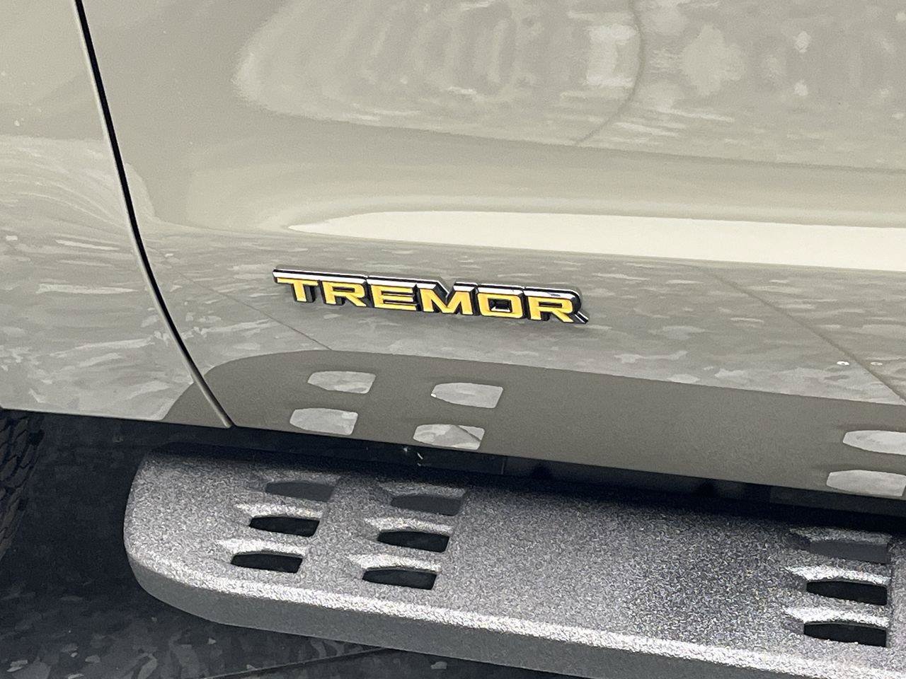 Used 2025 Ford Expedition Tremor AWD/4WD image 39