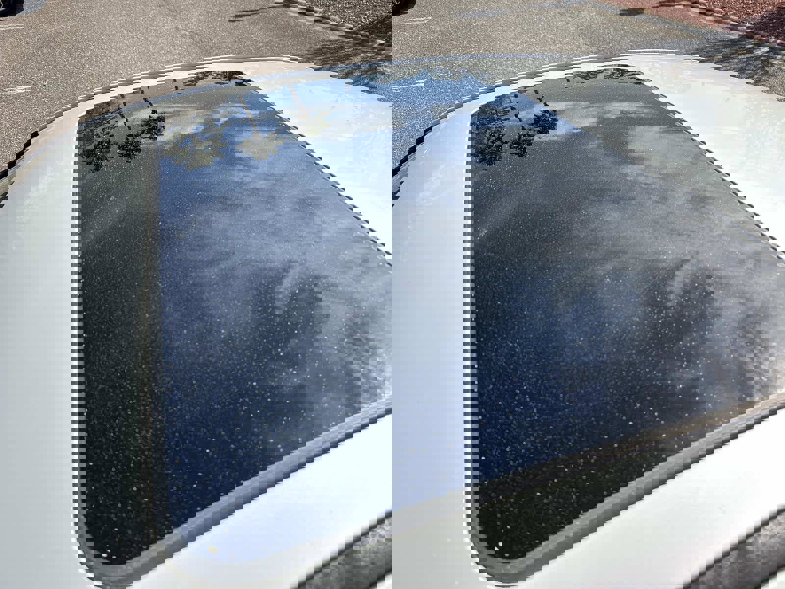 Used 2023 BMW 230i Coupe w/ Premium Package image 11