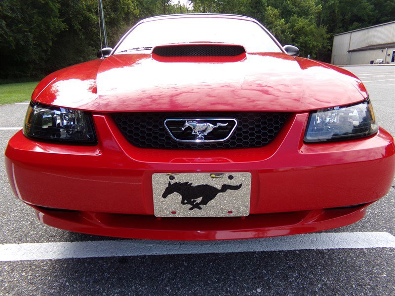 Used 2004 Ford Mustang GT image 6