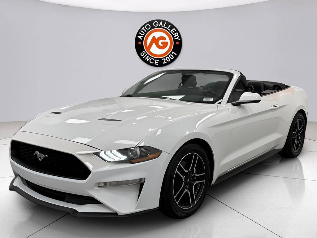 Used 2019 Ford Mustang Premium image 5