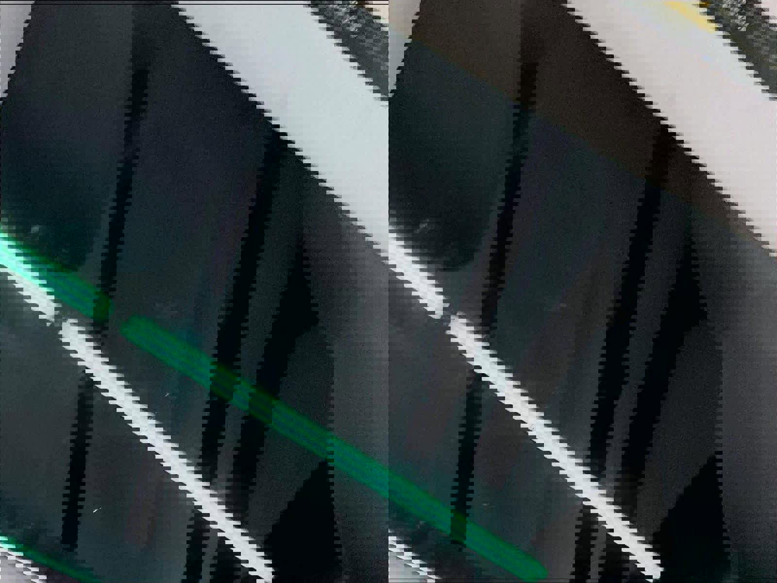 Used 2020 Tesla Model 3 Standard Range image 23