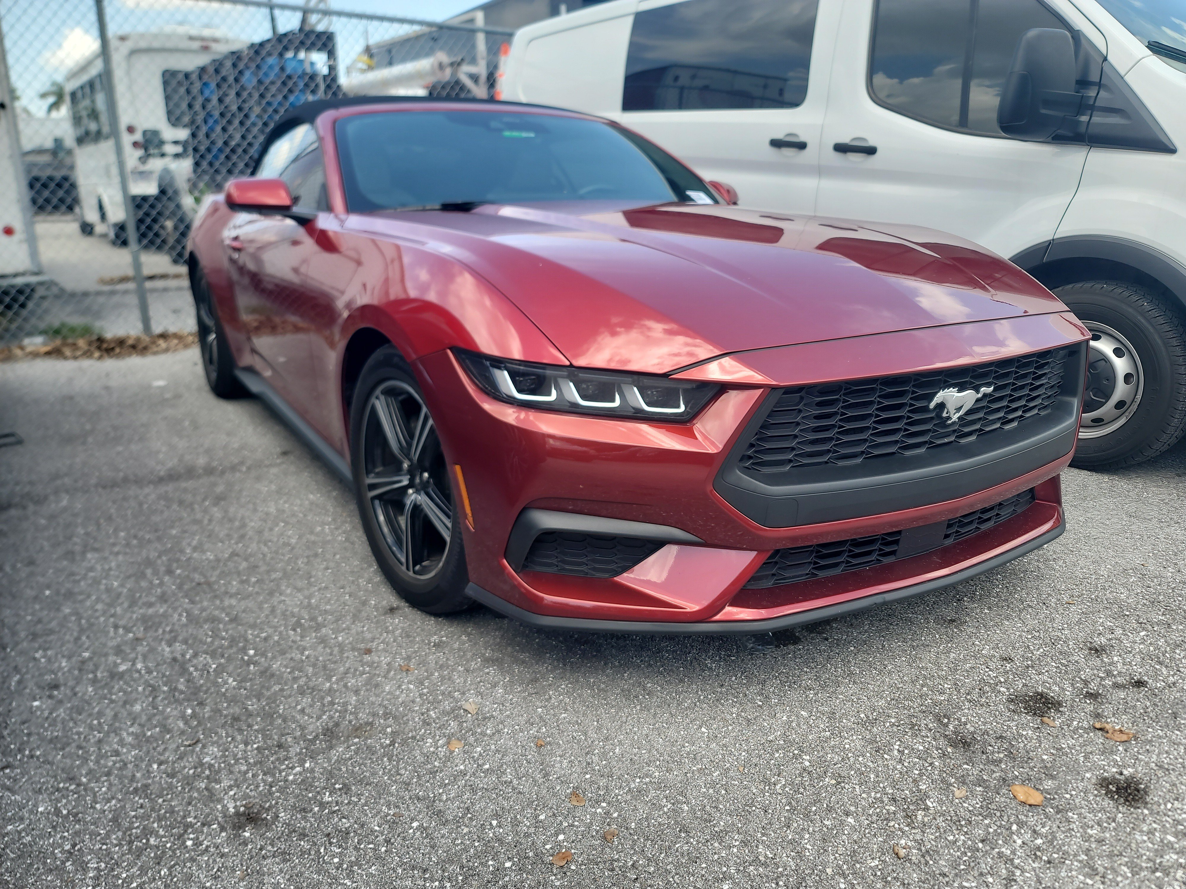 Used 2024 Ford Mustang Premium RWD image 2
