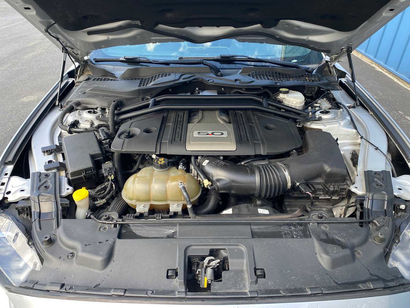 Used 2018 Ford Mustang GT RWD image 6