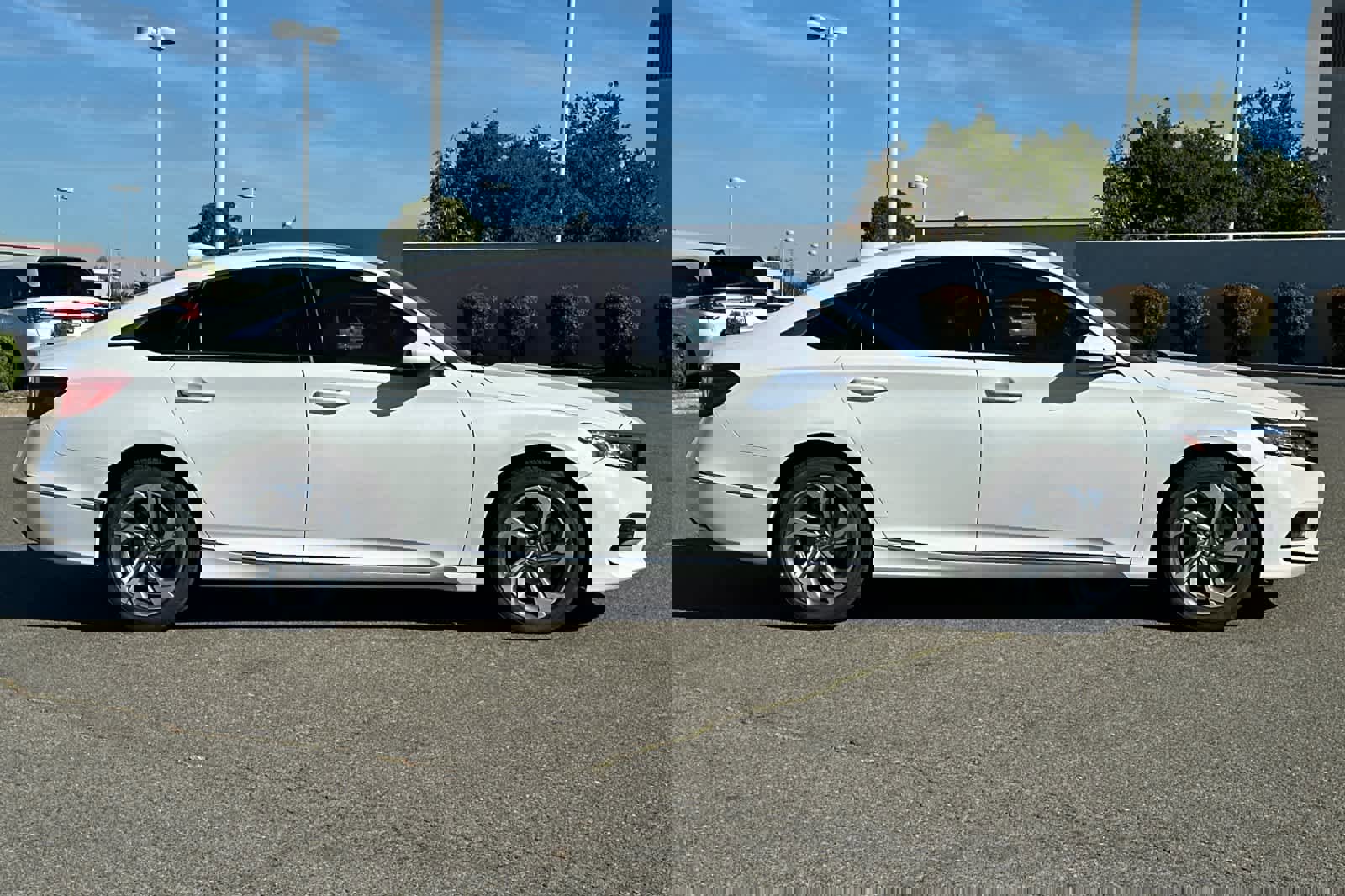 Used 2019 Honda Accord EX image 6