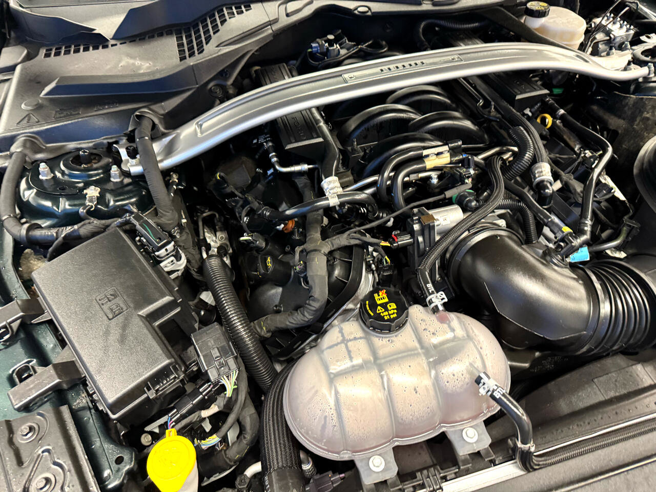 Used 2019 Ford Mustang Bullitt w/ Bullitt Electronics Package image 29