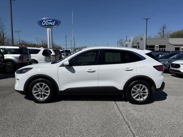 Used 2020 Ford Escape SE FWD image 2