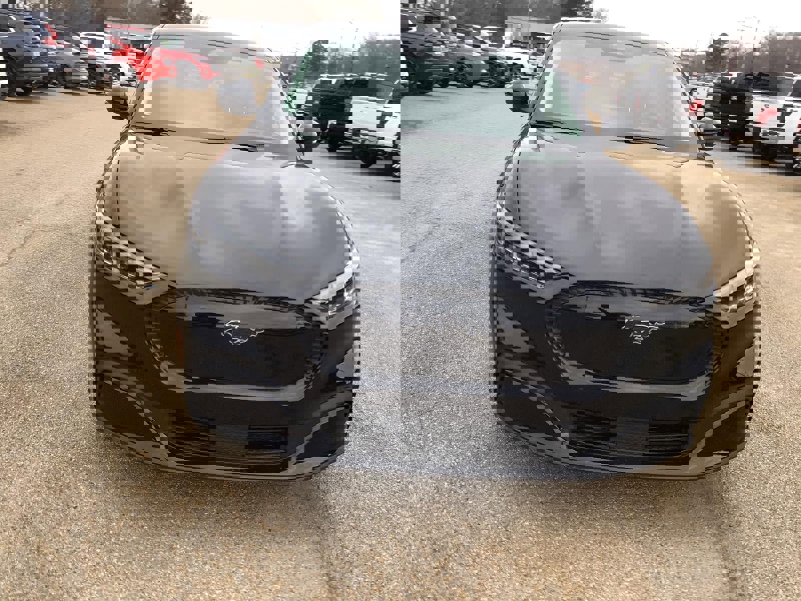 New 2026 Ford Mustang Mach-E Select w/ Comfort Package image 6