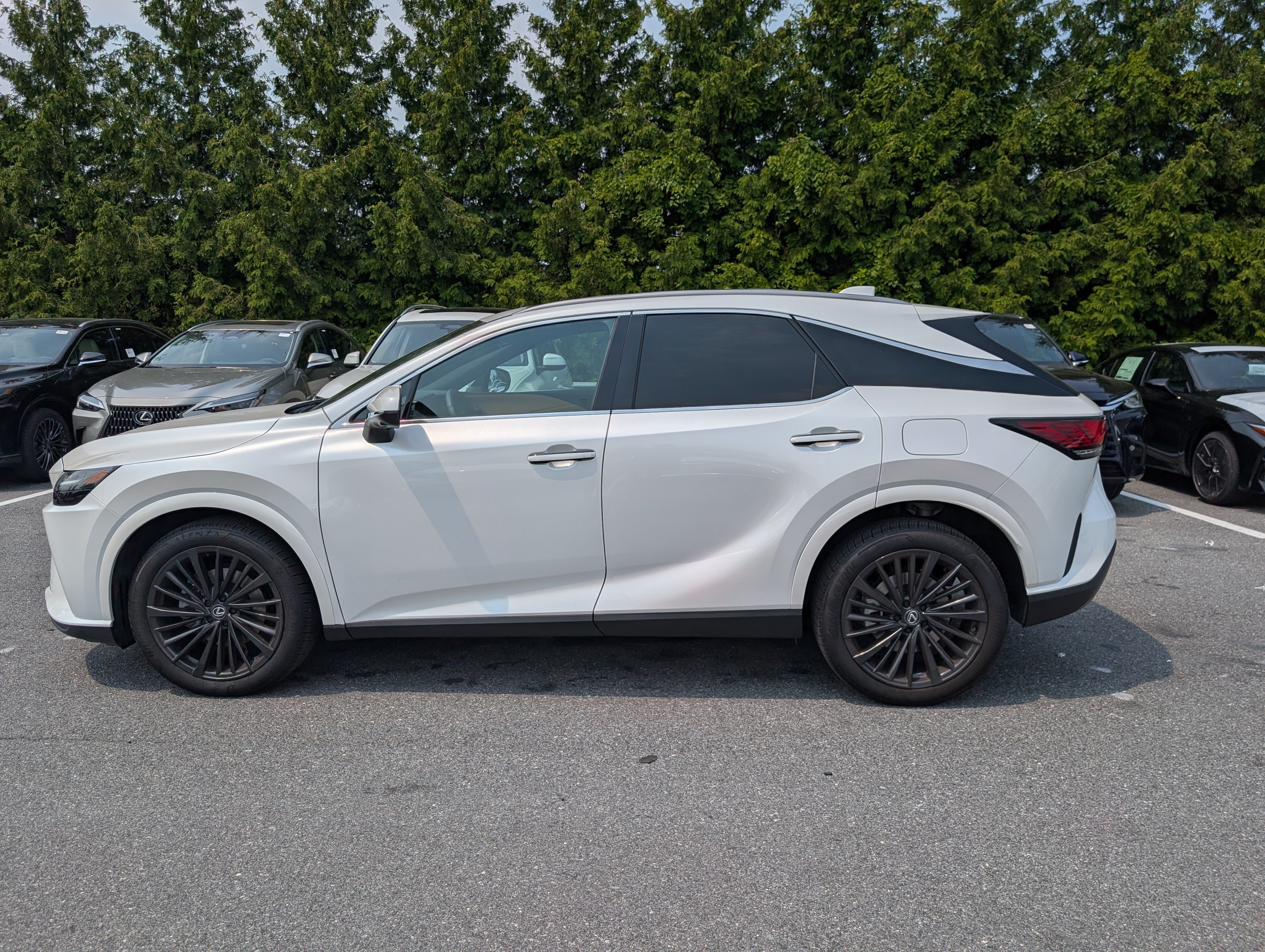 Used 2025 Lexus RX 350 Premium w/ Convenience Package AWD/4WD image 6