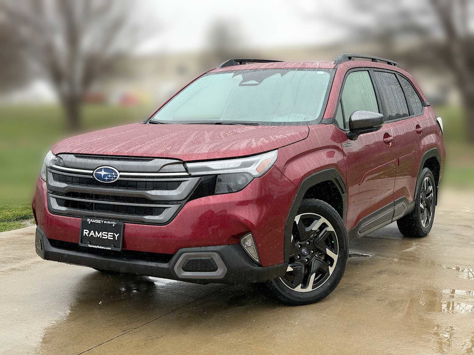 Used 2025 Subaru Forester Limited image 1