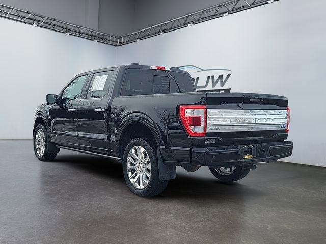 Used 2023 Ford F150 Limited image 5