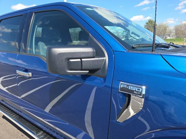 Used 2025 Ford F150 XLT w/ Equipment Group 301A Standard image 5