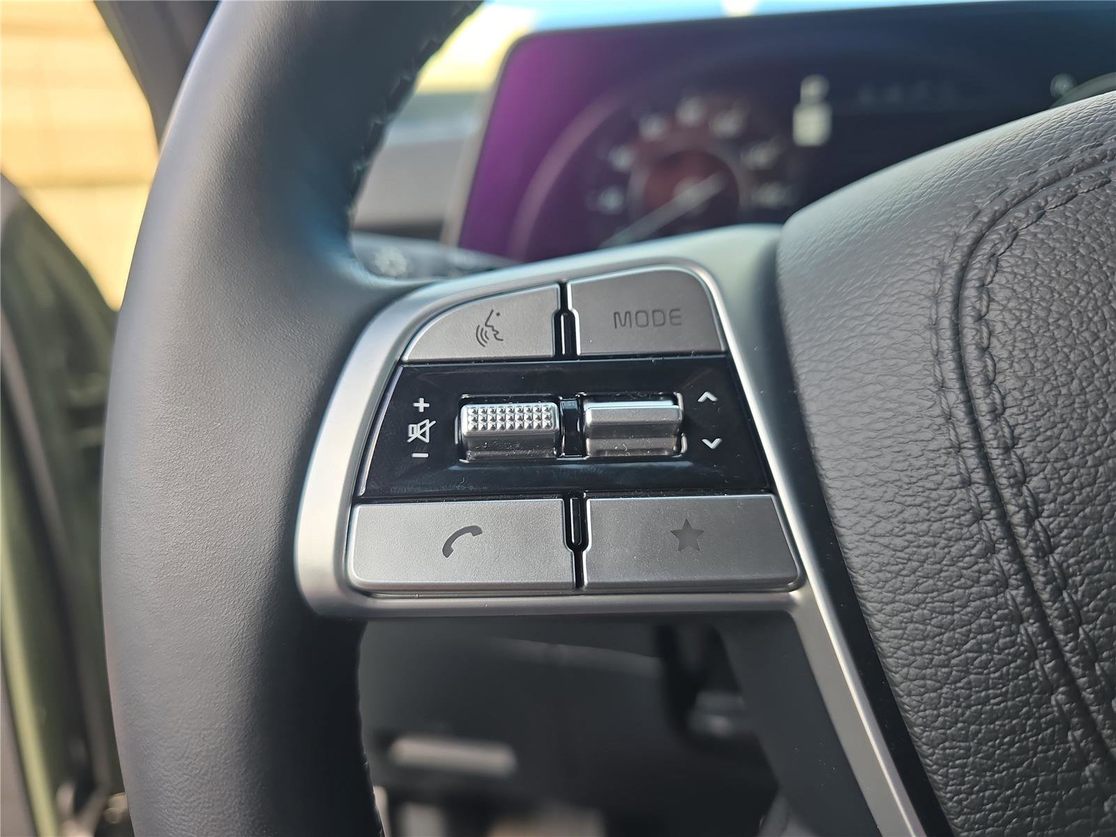 Used 2025 Kia Telluride SX Prestige X-Pro image 24