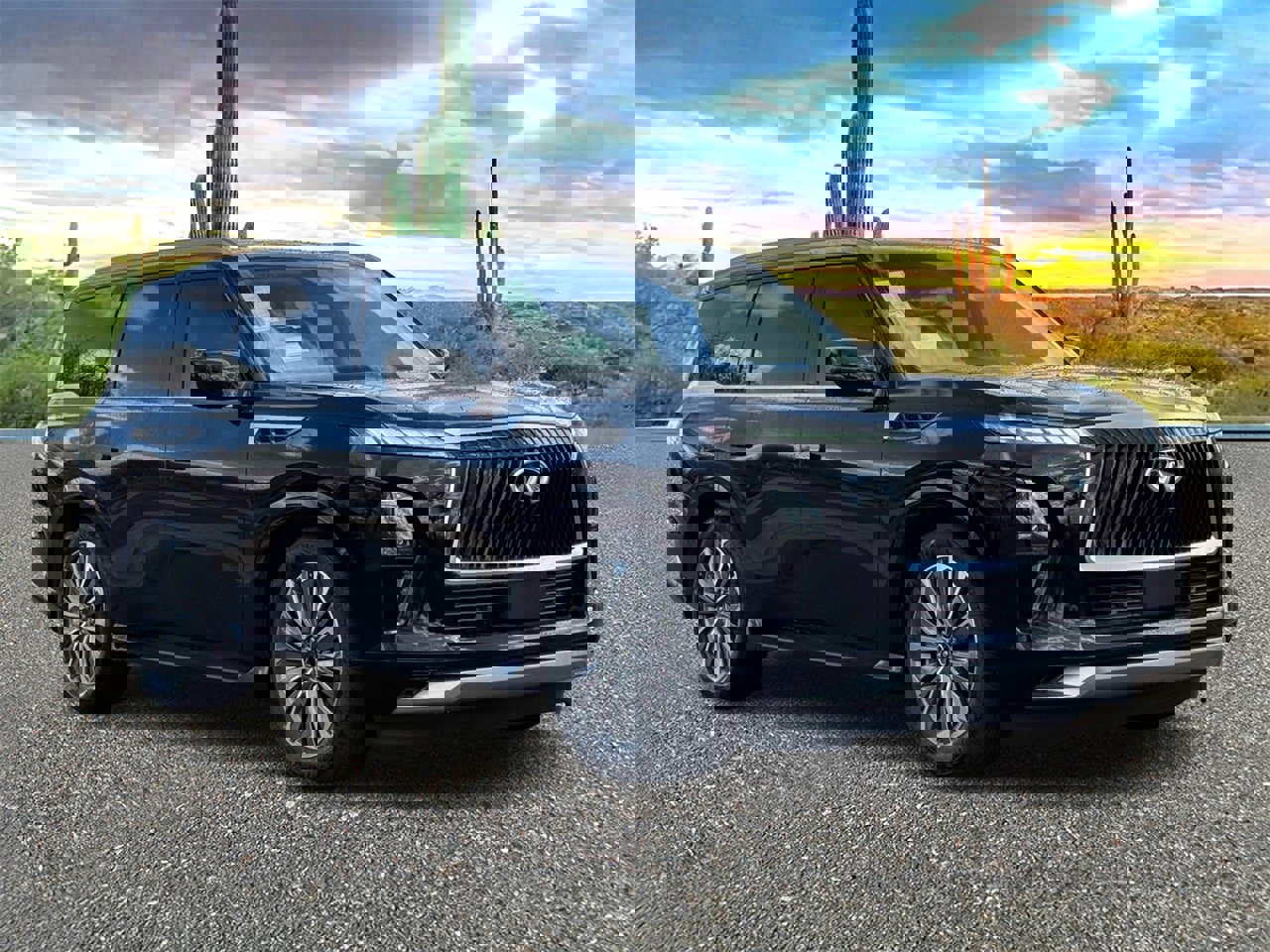 View Video